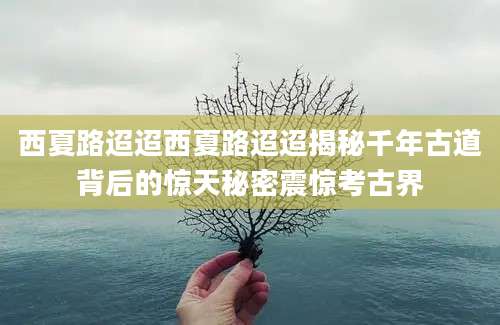 西夏路迢迢西夏路迢迢揭秘千年古道背后的惊天秘密震惊考古界