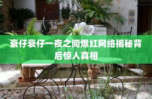 衰仔衰仔一夜之间爆红网络揭秘背后惊人真相