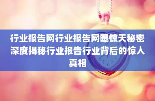 行业报告网行业报告网曝惊天秘密深度揭秘行业报告行业背后的惊人真相