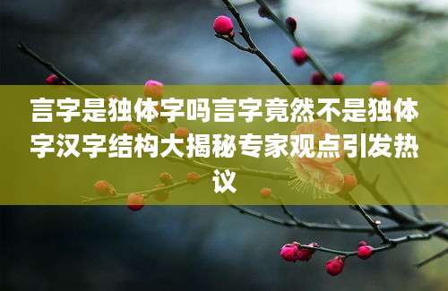 言字是独体字吗言字竟然不是独体字汉字结构大揭秘专家观点引发热议
