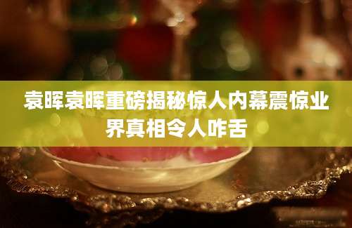 袁晖袁晖重磅揭秘惊人内幕震惊业界真相令人咋舌