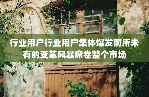 行业用户行业用户集体爆发前所未有的变革风暴席卷整个市场
