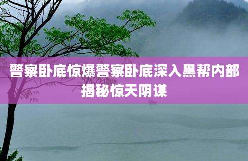 警察卧底惊爆警察卧底深入黑帮内部揭秘惊天阴谋
