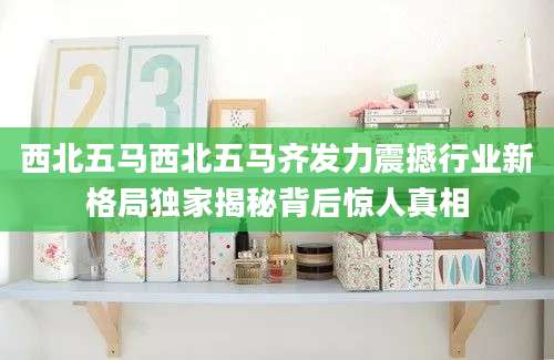 西北五马西北五马齐发力震撼行业新格局独家揭秘背后惊人真相