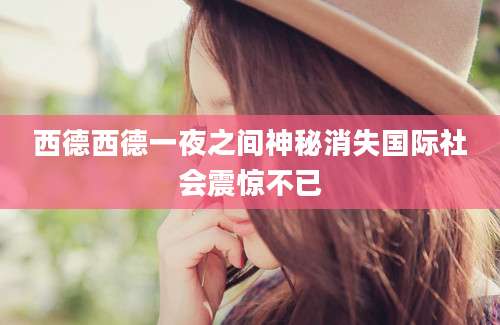 西德西德一夜之间神秘消失国际社会震惊不已