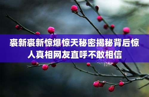 裘新裘新惊爆惊天秘密揭秘背后惊人真相网友直呼不敢相信
