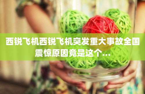 西锐飞机西锐飞机突发重大事故全国震惊原因竟是这个...