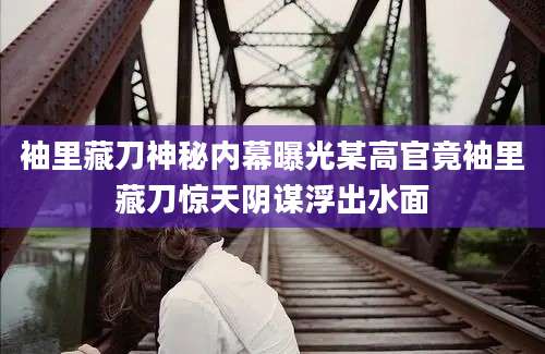 袖里藏刀神秘内幕曝光某高官竟袖里藏刀惊天阴谋浮出水面