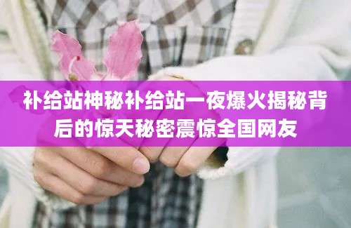 补给站神秘补给站一夜爆火揭秘背后的惊天秘密震惊全国网友
