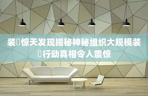 装弶惊天发现揭秘神秘组织大规模装弶行动真相令人震惊