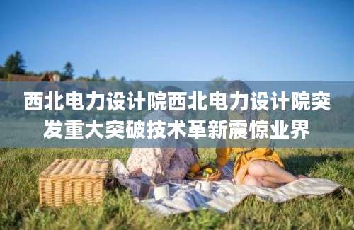 西北电力设计院西北电力设计院突发重大突破技术革新震惊业界