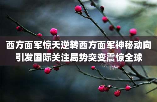 西方面军惊天逆转西方面军神秘动向引发国际关注局势突变震惊全球