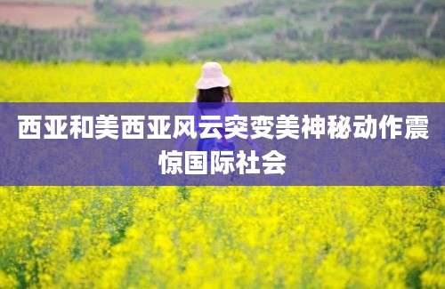 西亚和美西亚风云突变美神秘动作震惊国际社会
