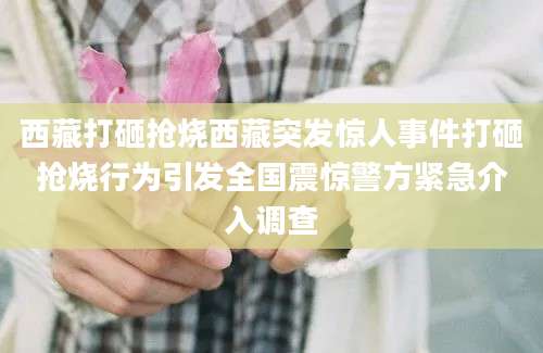 西藏打砸抢烧西藏突发惊人事件打砸抢烧行为引发全国震惊警方紧急介入调查
