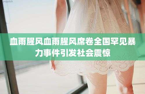 血雨腥风血雨腥风席卷全国罕见暴力事件引发社会震惊