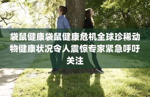 袋鼠健康袋鼠健康危机全球珍稀动物健康状况令人震惊专家紧急呼吁关注