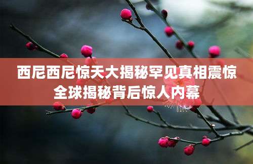 西尼西尼惊天大揭秘罕见真相震惊全球揭秘背后惊人内幕
