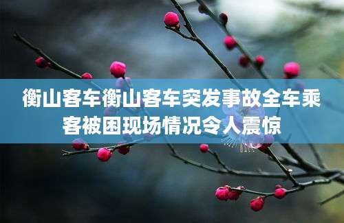 衡山客车衡山客车突发事故全车乘客被困现场情况令人震惊