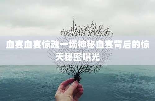 血宴血宴惊魂一场神秘血宴背后的惊天秘密曝光