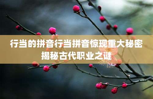 行当的拼音行当拼音惊现重大秘密揭秘古代职业之谜