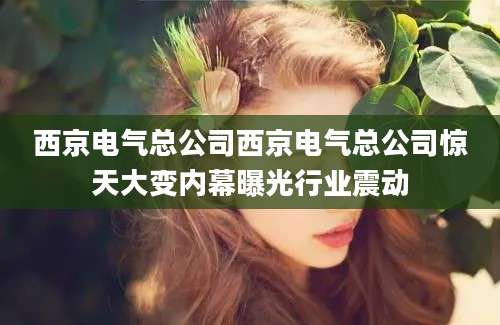 西京电气总公司西京电气总公司惊天大变内幕曝光行业震动