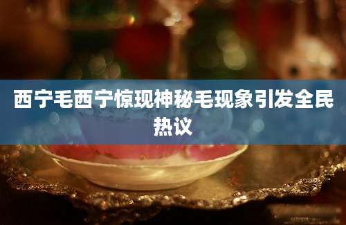 西宁毛西宁惊现神秘毛现象引发全民热议
